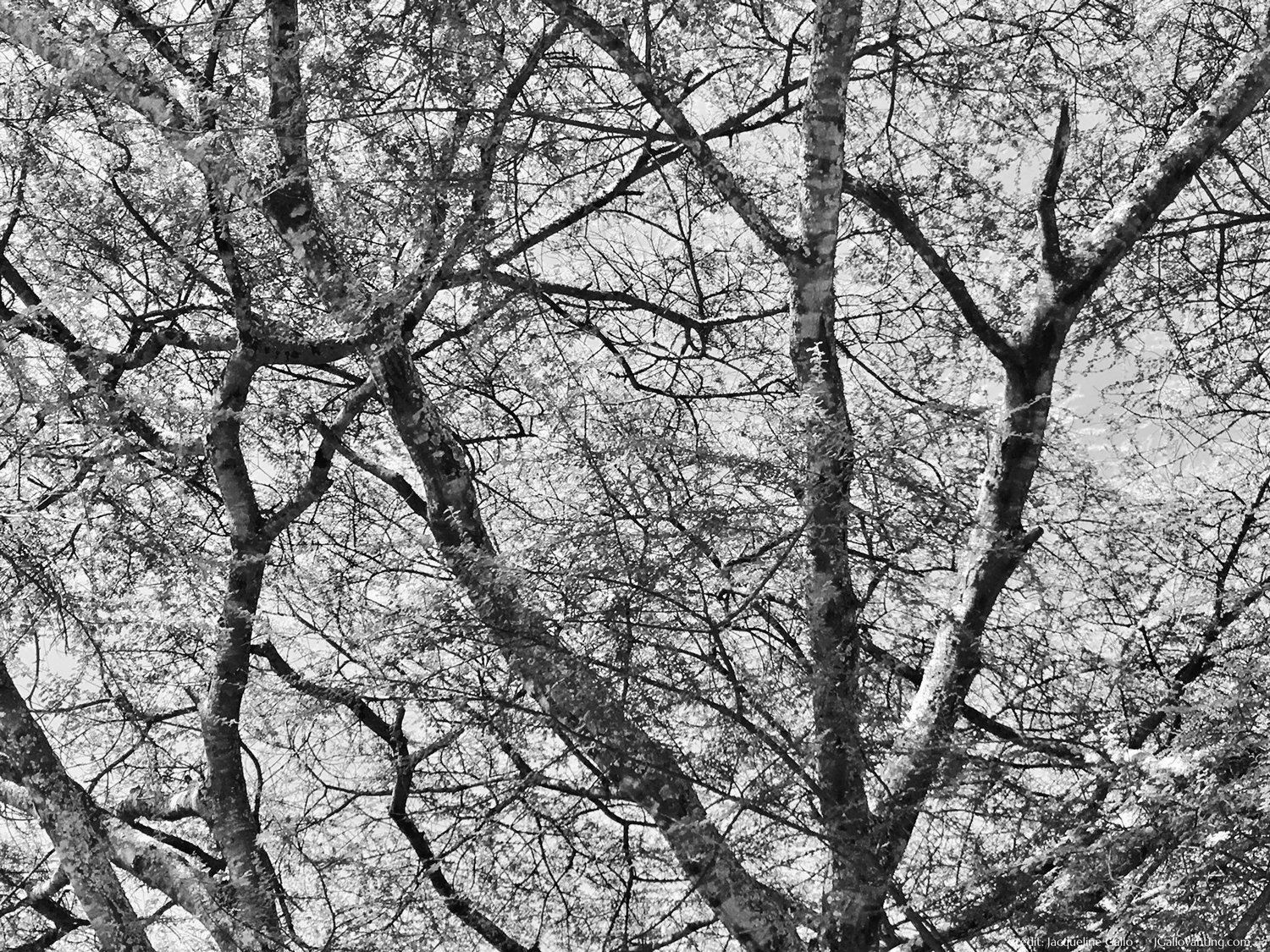 Blog thumbnail
