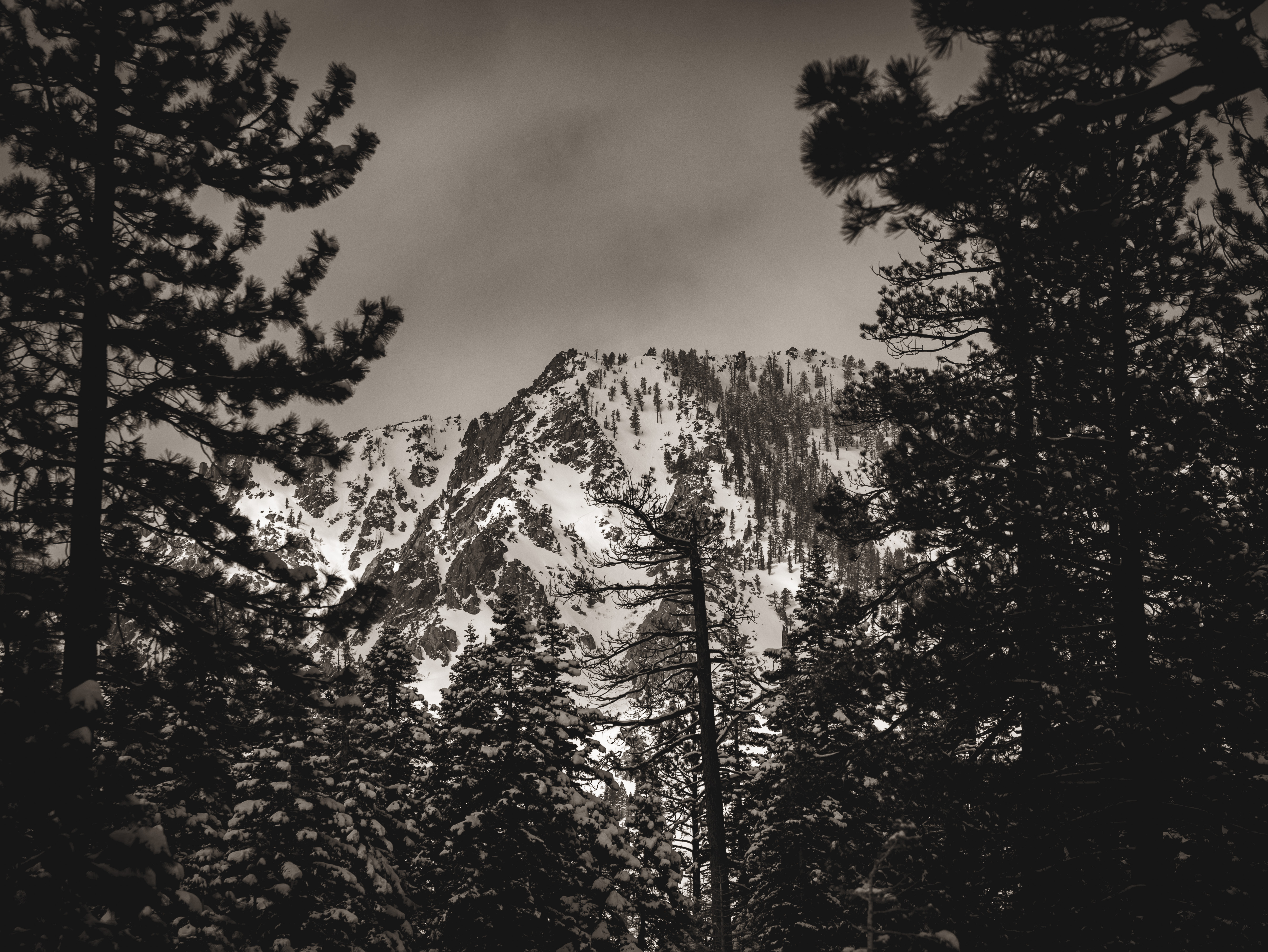 Fine Art Prints thumbnail