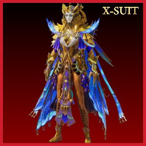 COLLECT NOW thumbnail