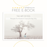 FREE EBOOK: The Art of Fog thumbnail