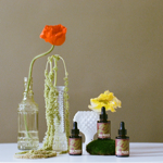 shop my apothecary thumbnail