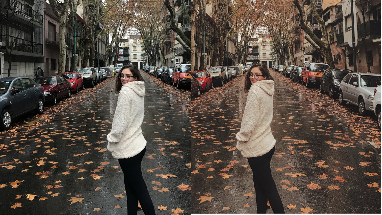 Preset Natural Afeto (ebook + pacote de 5 presets) thumbnail
