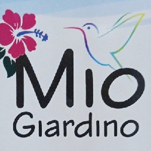 Site Mio Giardino  thumbnail