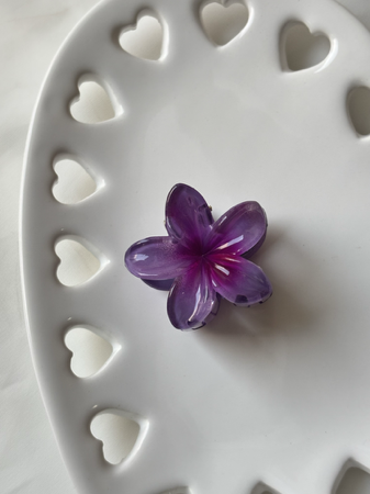 Prisilha flor  thumbnail