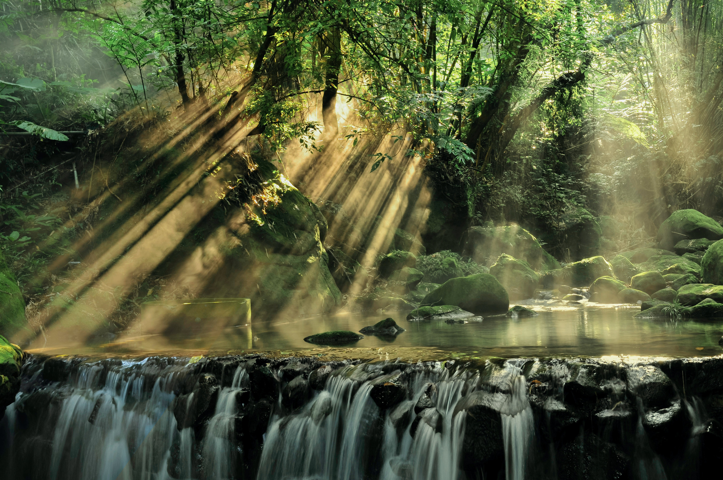 Collaborations thumbnail