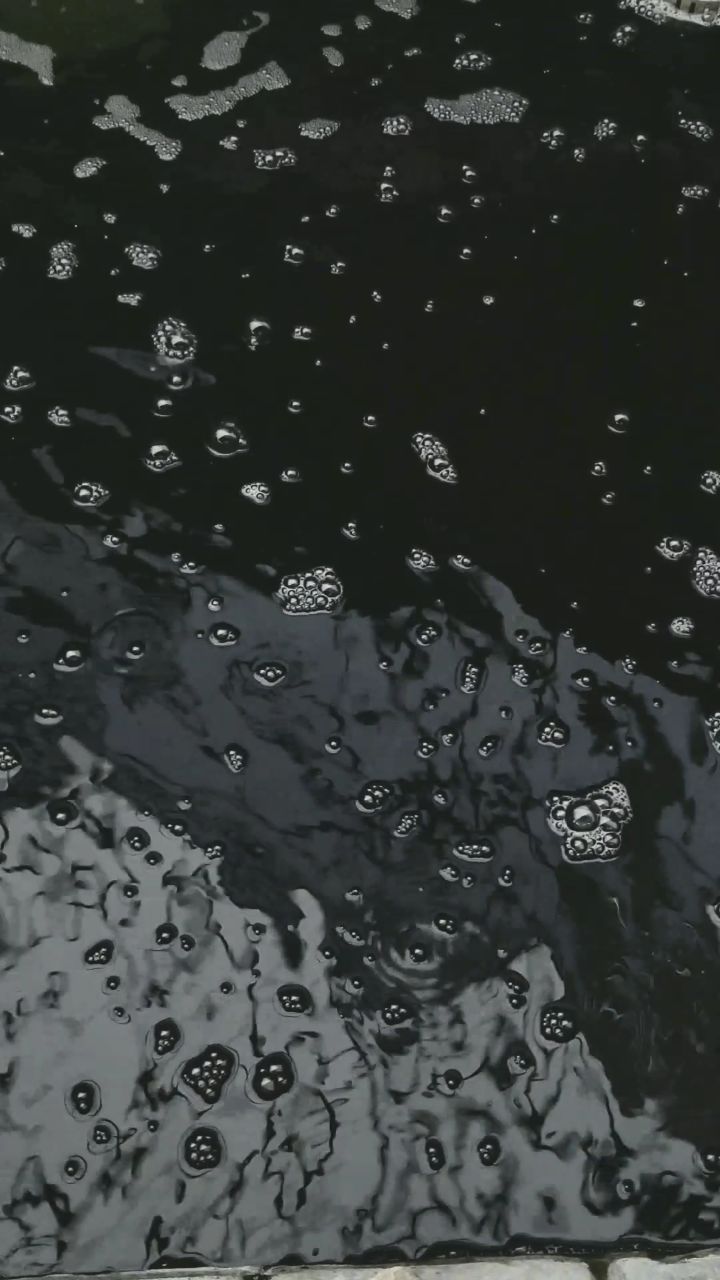 In a world full of fish, be a koi.
.
.
.
.
.
.
.
.
.
.
.

#koi #koifish #koipond #koiblitar #koiindonesia #ikankoi #kois