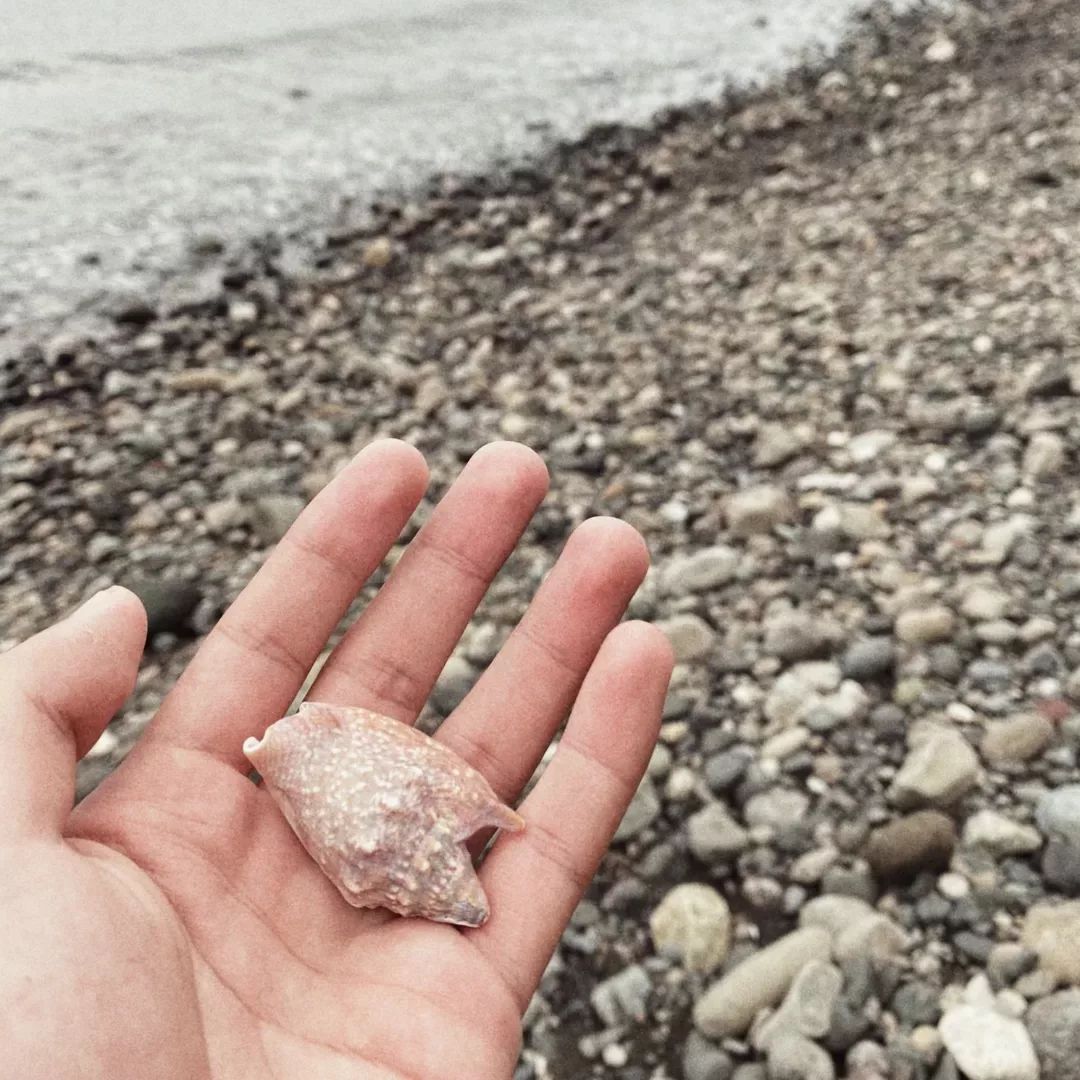 the ocean is beautiful isn't it? 🌊

#beach #beachvibes #beachday #beachlife #pool #friends #friendship #outing #trip #va