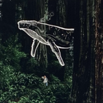 Floating Giants - NFT Collection thumbnail