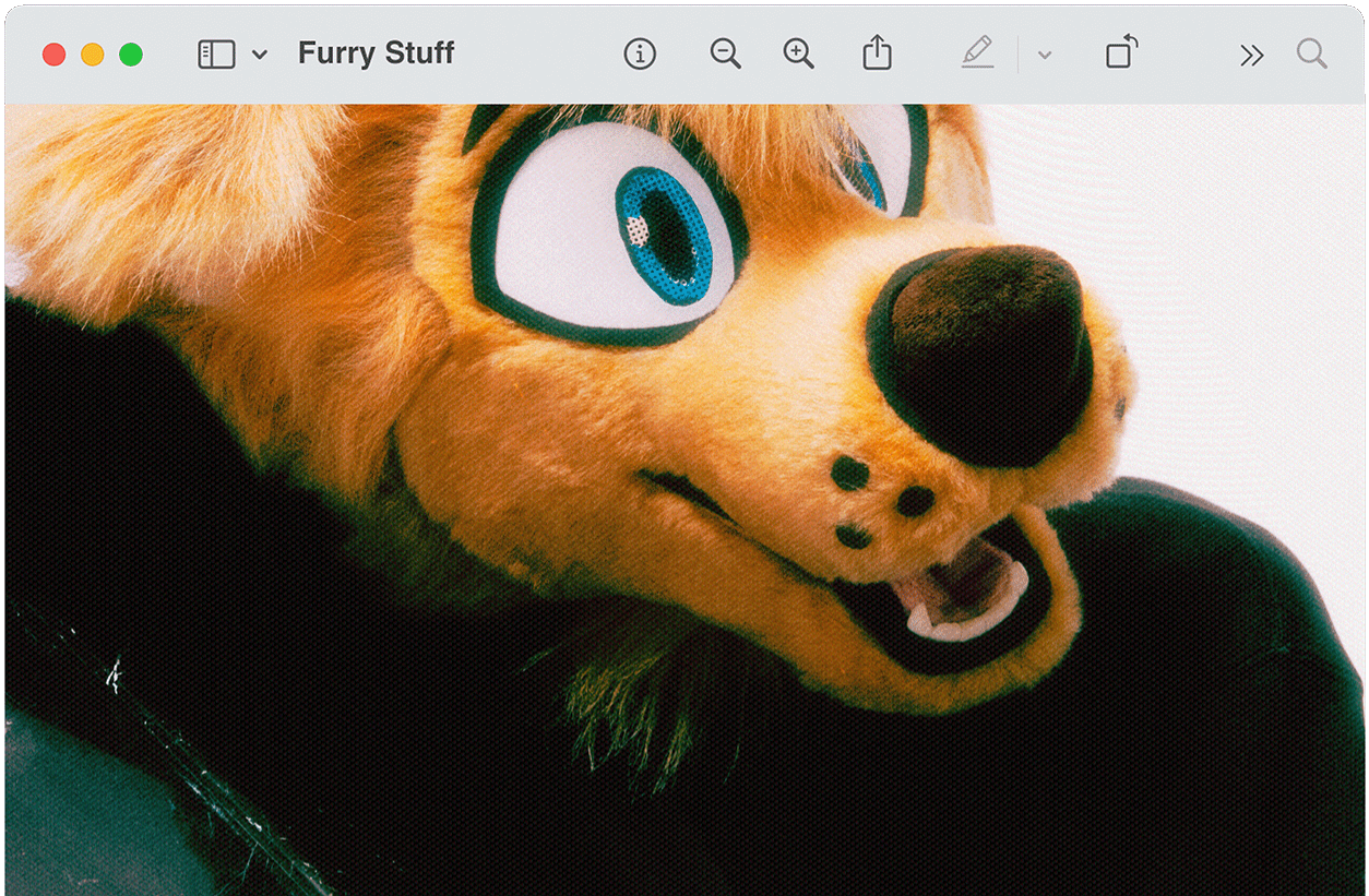 WEBSITE thumbnail
