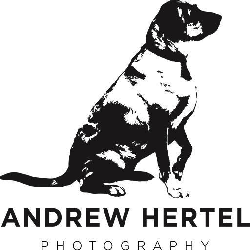 Website thumbnail