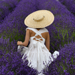 Tiktok Collaboration Kit  thumbnail