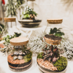 🍃 NOS TERRARIUMS-NEW CO thumbnail