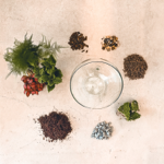 🛠️ TERRARIUMS À FAIRE SOI-MÊME  thumbnail