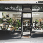 🇨🇭 VIENS NOUS VOIR  thumbnail