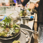 🪴 INSCRIPTIONS ATELIERS  thumbnail