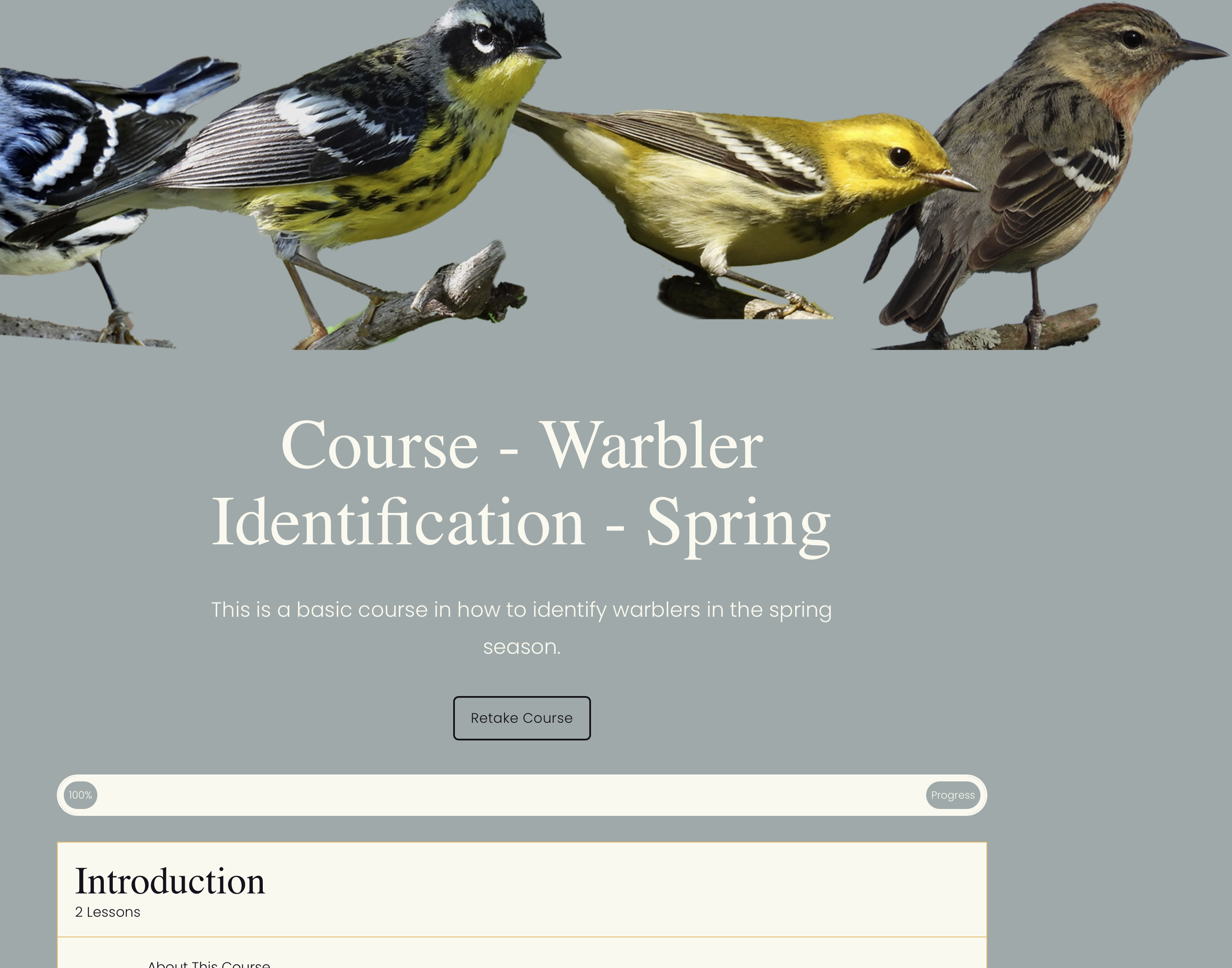 Course - Warbler Identification - Spring thumbnail