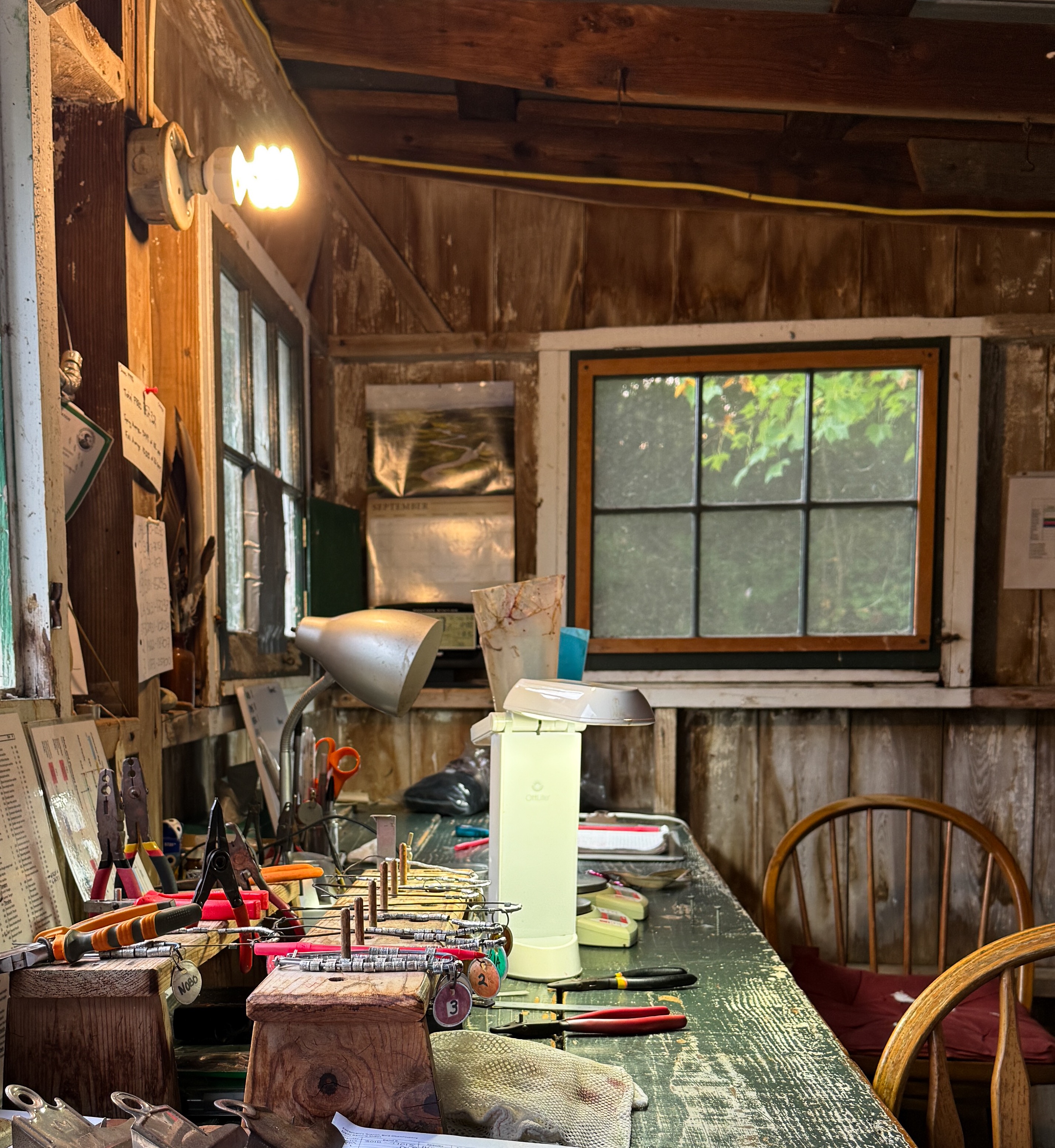 Foreman's Branch Bird Observatory thumbnail