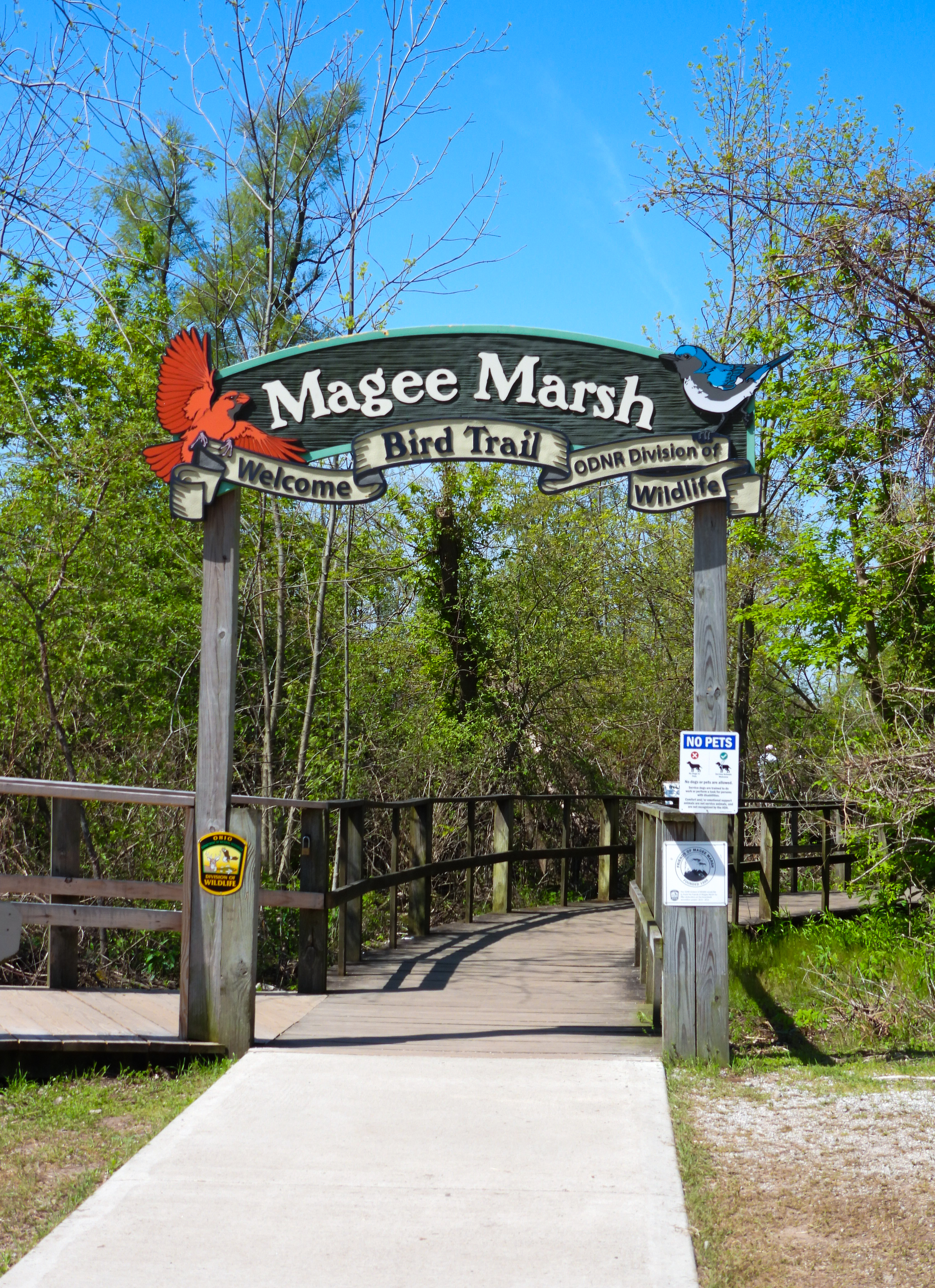 Magee Marsh, OH - 2023 thumbnail