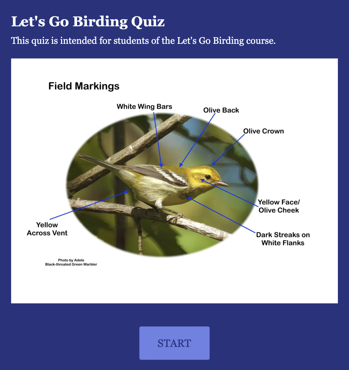 Test your knowledge with the Bird Quiz Page thumbnail