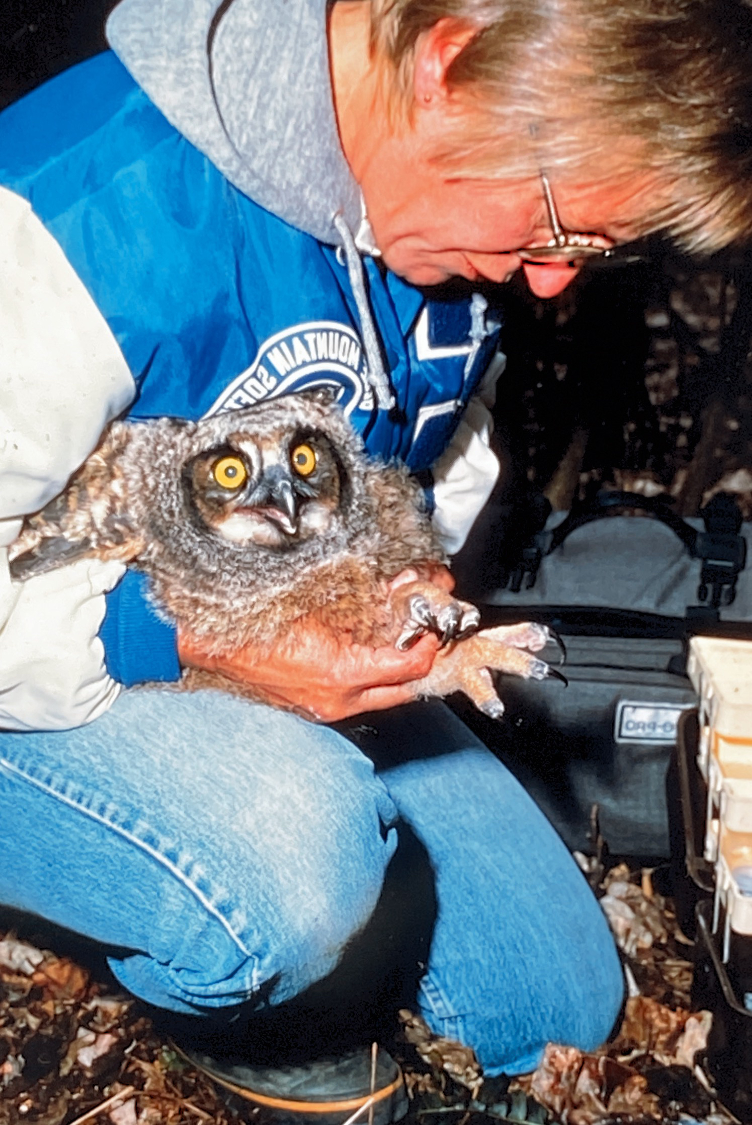 Hear ornithologist Judy Wink talk about the nesting cycle of the Great Horned Owl thumbnail