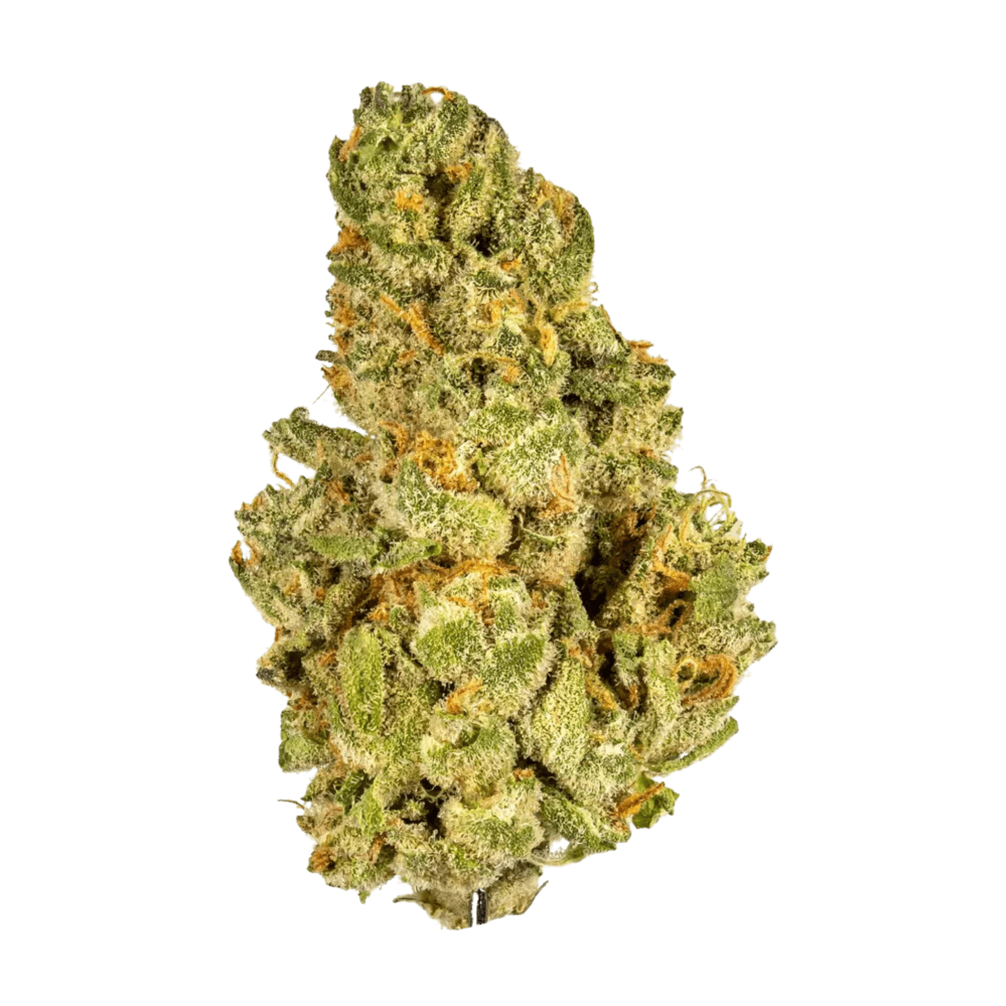 Kush Mints THCA Flower 36.26% thumbnail