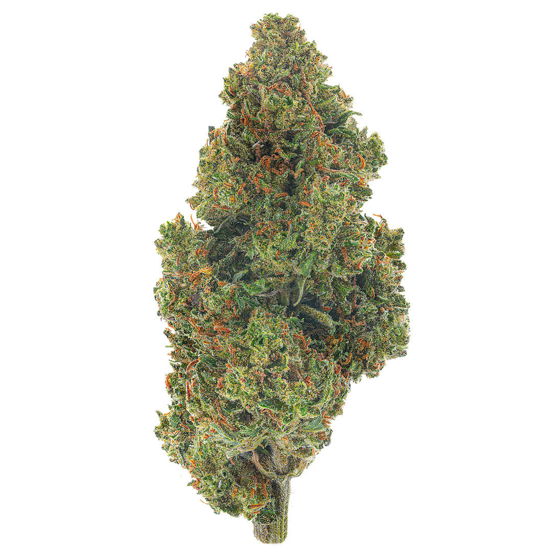 Jack Herrer 17 Grams thumbnail