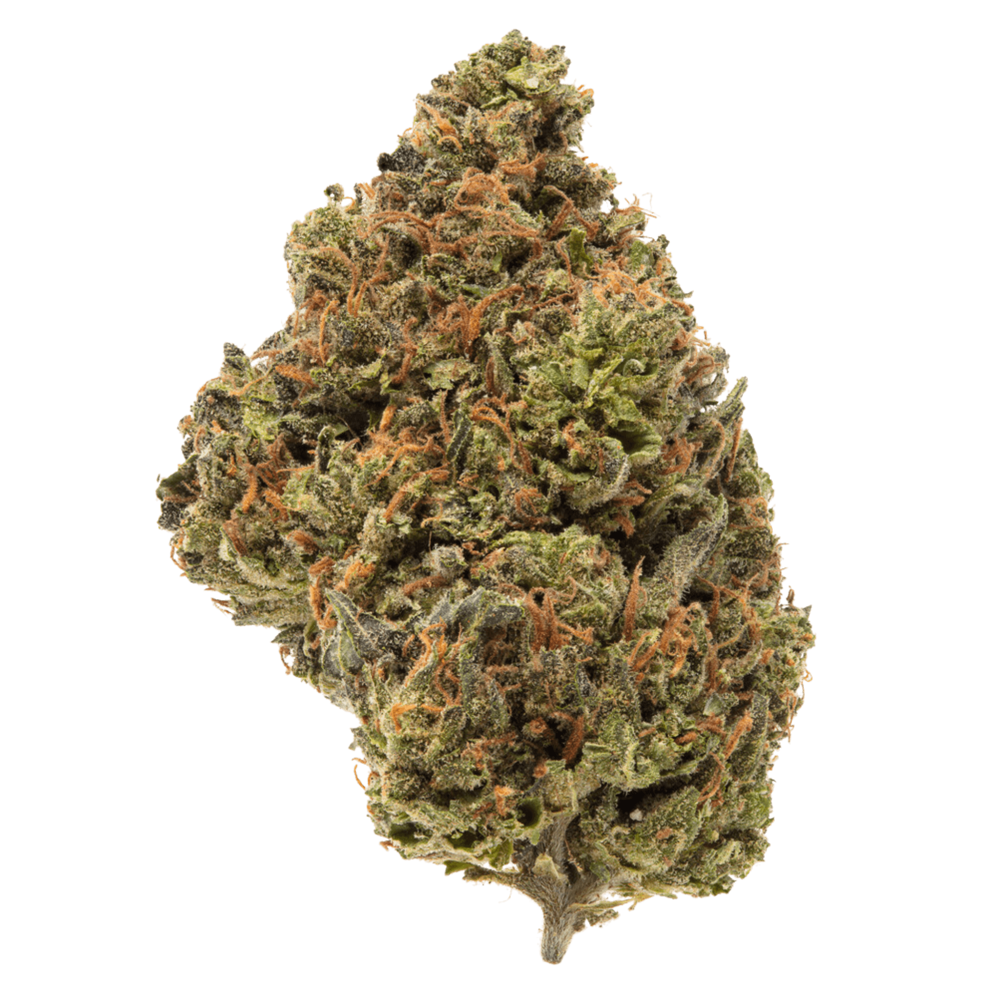 Blue Guava THCA Flower | High-Quality Indoor THCA Flower thumbnail