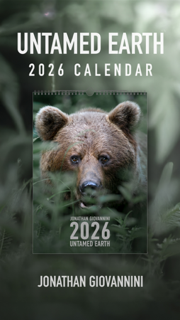 Ordina il calendario 2026 thumbnail