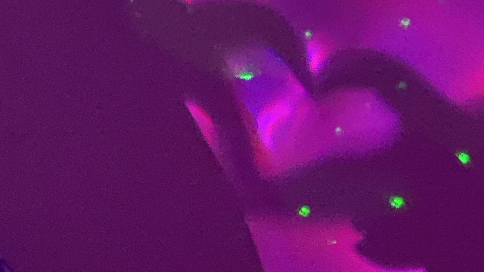 BioSite banner for @nes