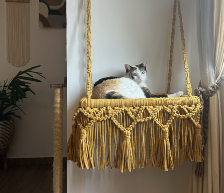 Camas de gato - encomendas 🐈 thumbnail