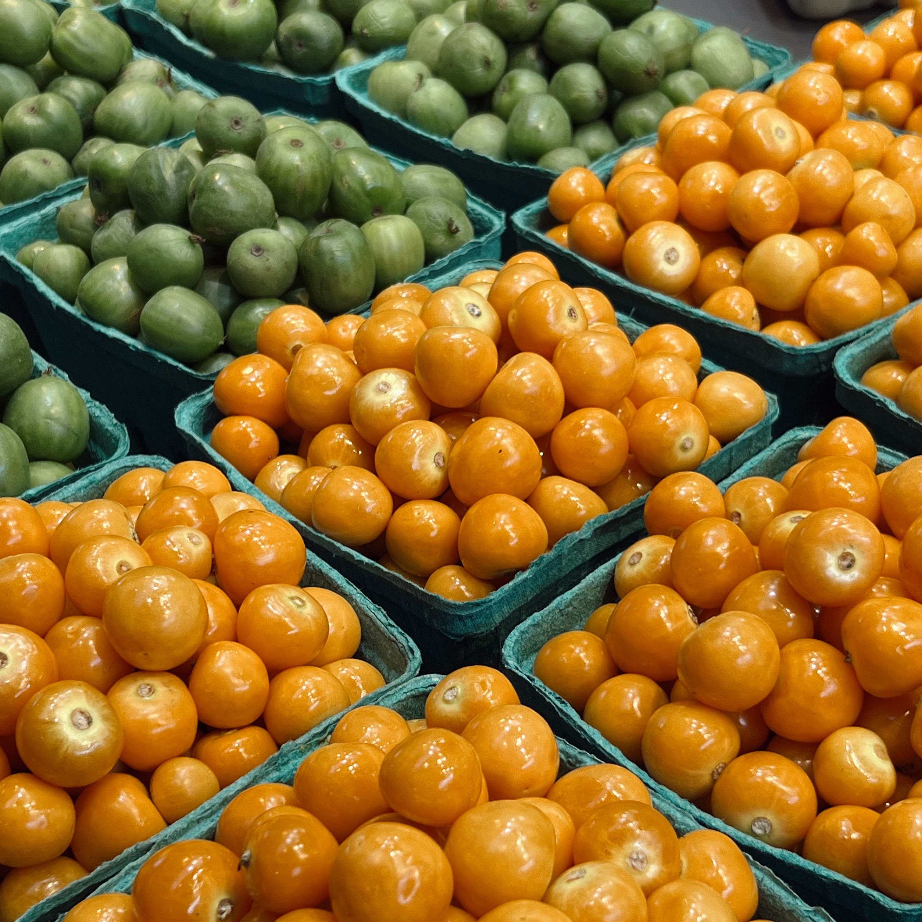 Odd Bunch // MADISON20 thumbnail