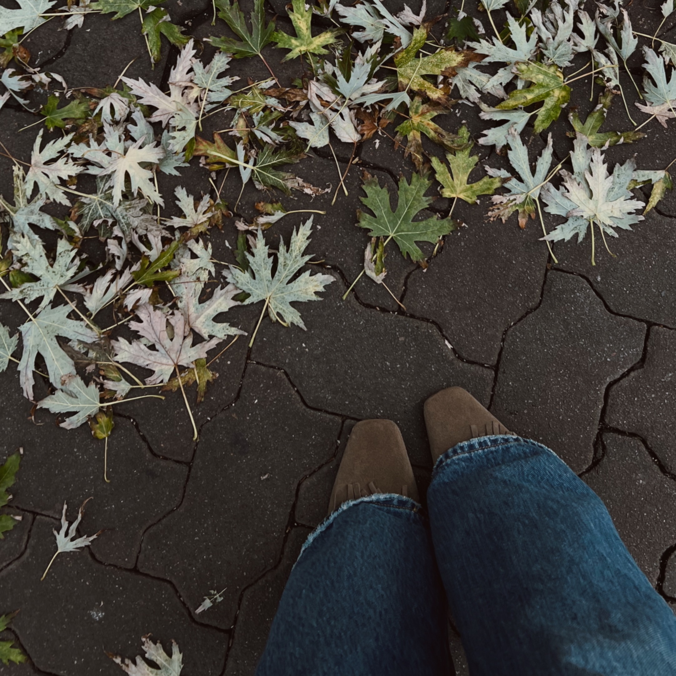 Amazon Storefront thumbnail