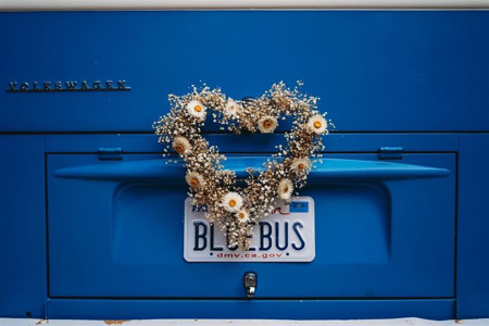 GALLERY | Photos & Videos 🎥 thumbnail