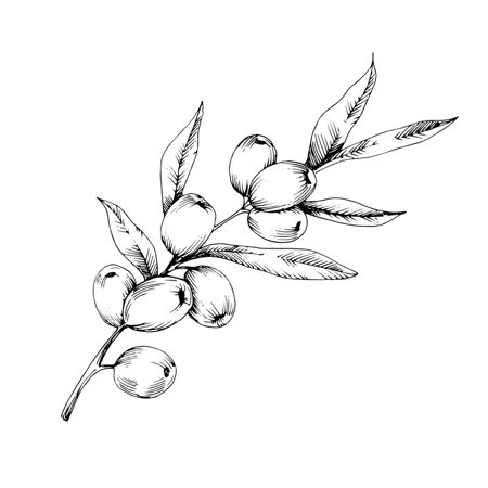BABY'S MARCHÉ WEBSITE thumbnail