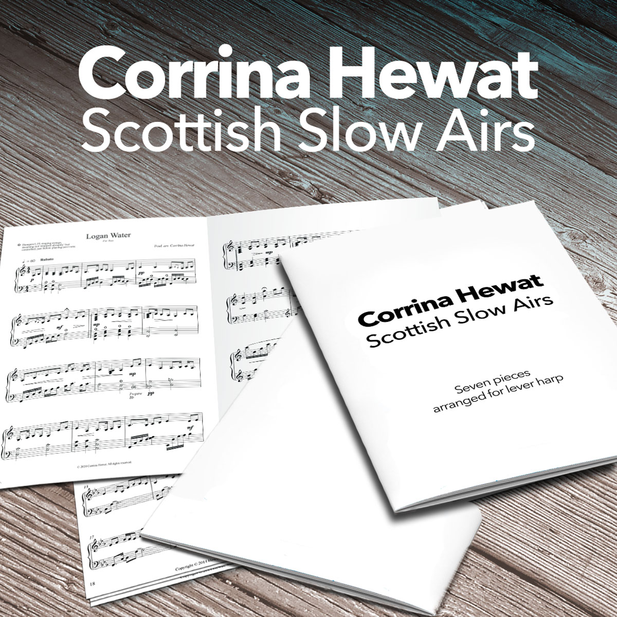 New 'Slow Airs' book pdf available thumbnail