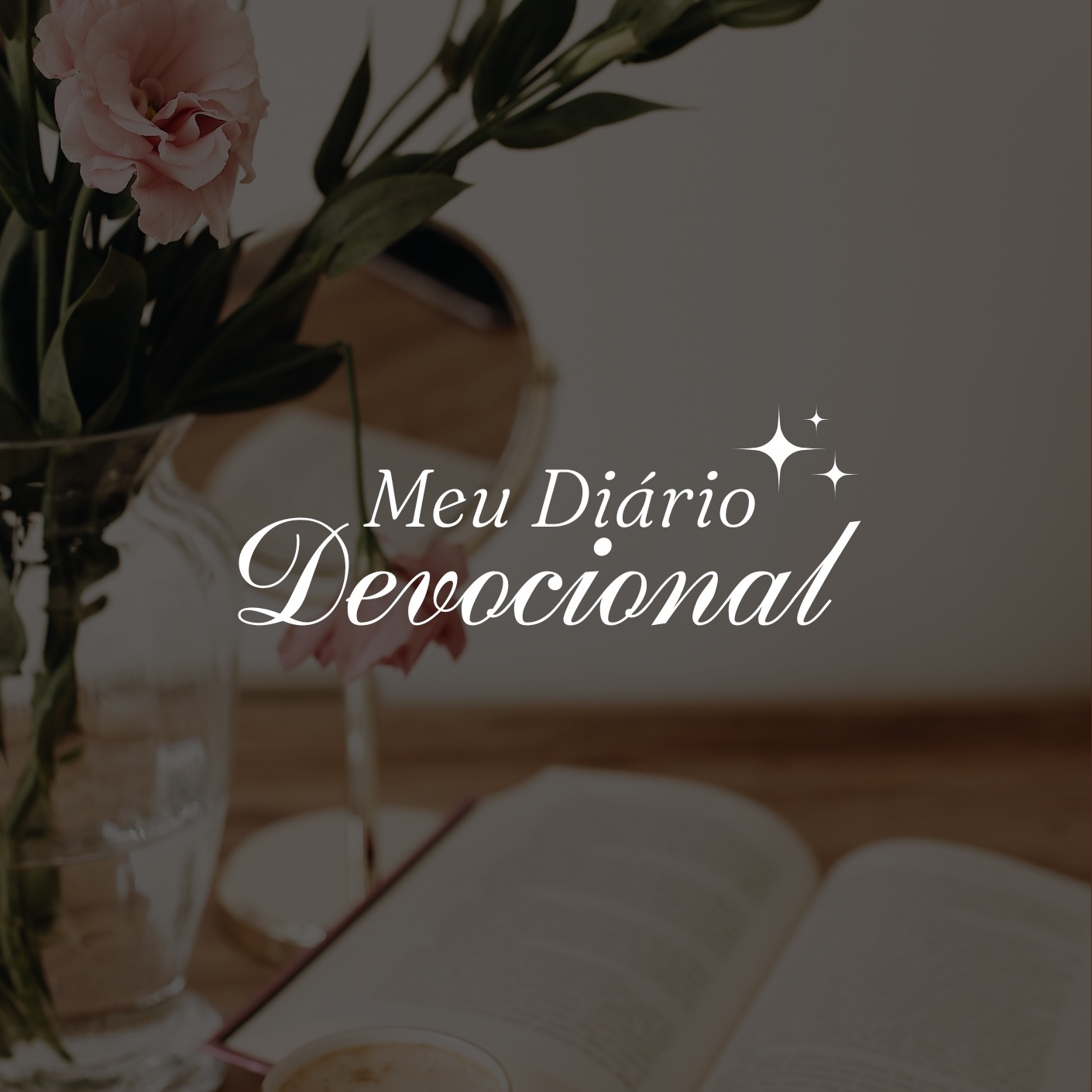 Meu Diário Devocional thumbnail