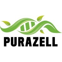 🧬 𝐒𝐮𝐩𝐞𝐫𝐟𝐨𝐨𝐝 & 𝐙𝐞𝐥𝐥𝐬𝐜𝐡𝐮𝐭𝐳: Meine tägliche Basis für Energie & Entgiftung: Superfoods, Fermente, Rohkakao & mehr 🟢 𝟏𝟎% 𝐑𝐚𝐛𝐚𝐭𝐭𝐜𝐨𝐝𝐞: 𝗩𝗶𝗰𝘁𝗼𝗿𝟭𝟬 thumbnail