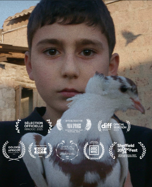 NEW CASE STUDY! MY SWEET LAND thumbnail