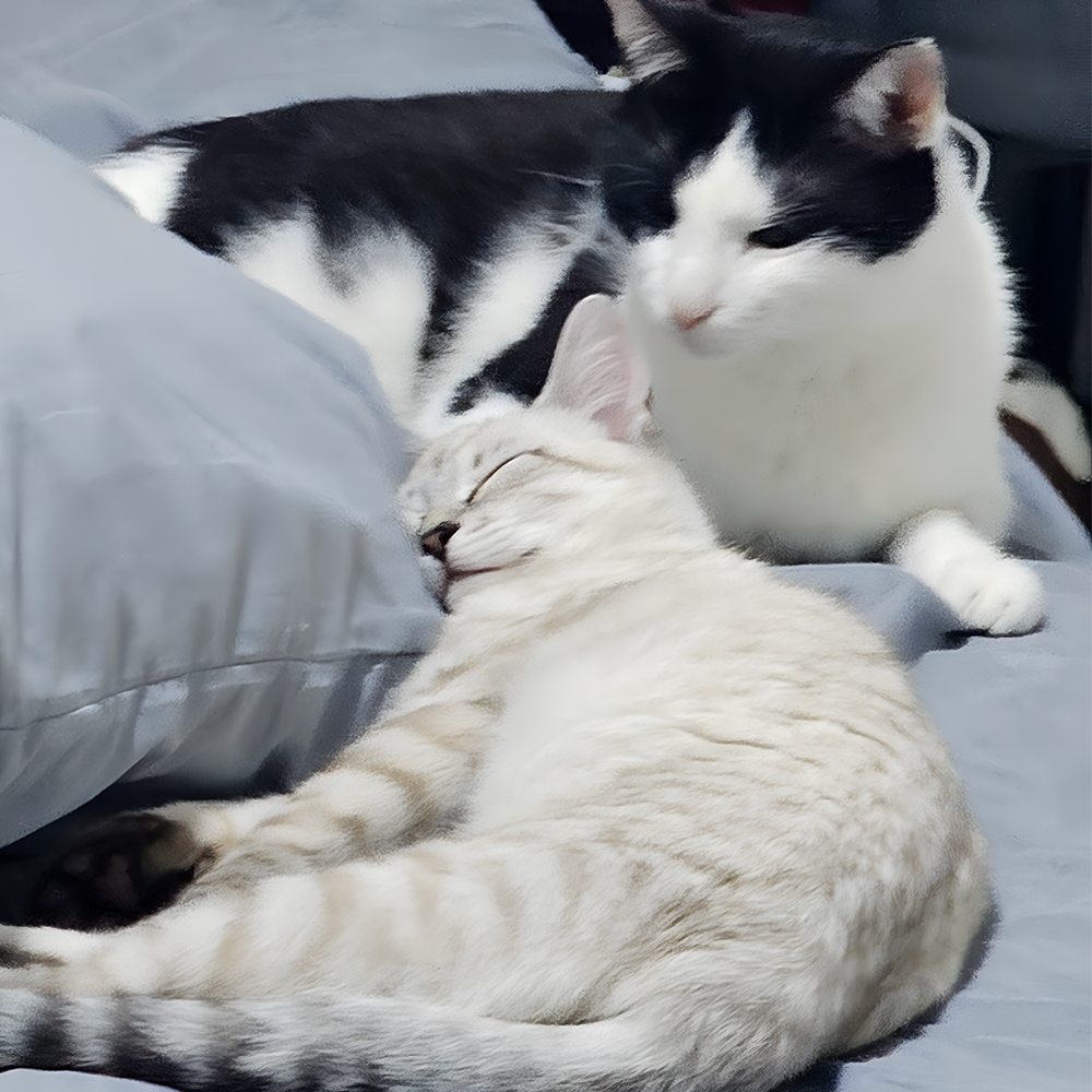 Freebies Gumroad thumbnail