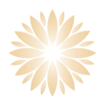 FREE Yoga for Pregnancy | 45 Min Yoga Flow thumbnail