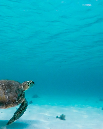 #CleviaCareStories  thumbnail