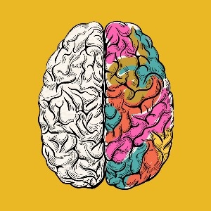 Trick Brain | Lecture & Training  thumbnail
