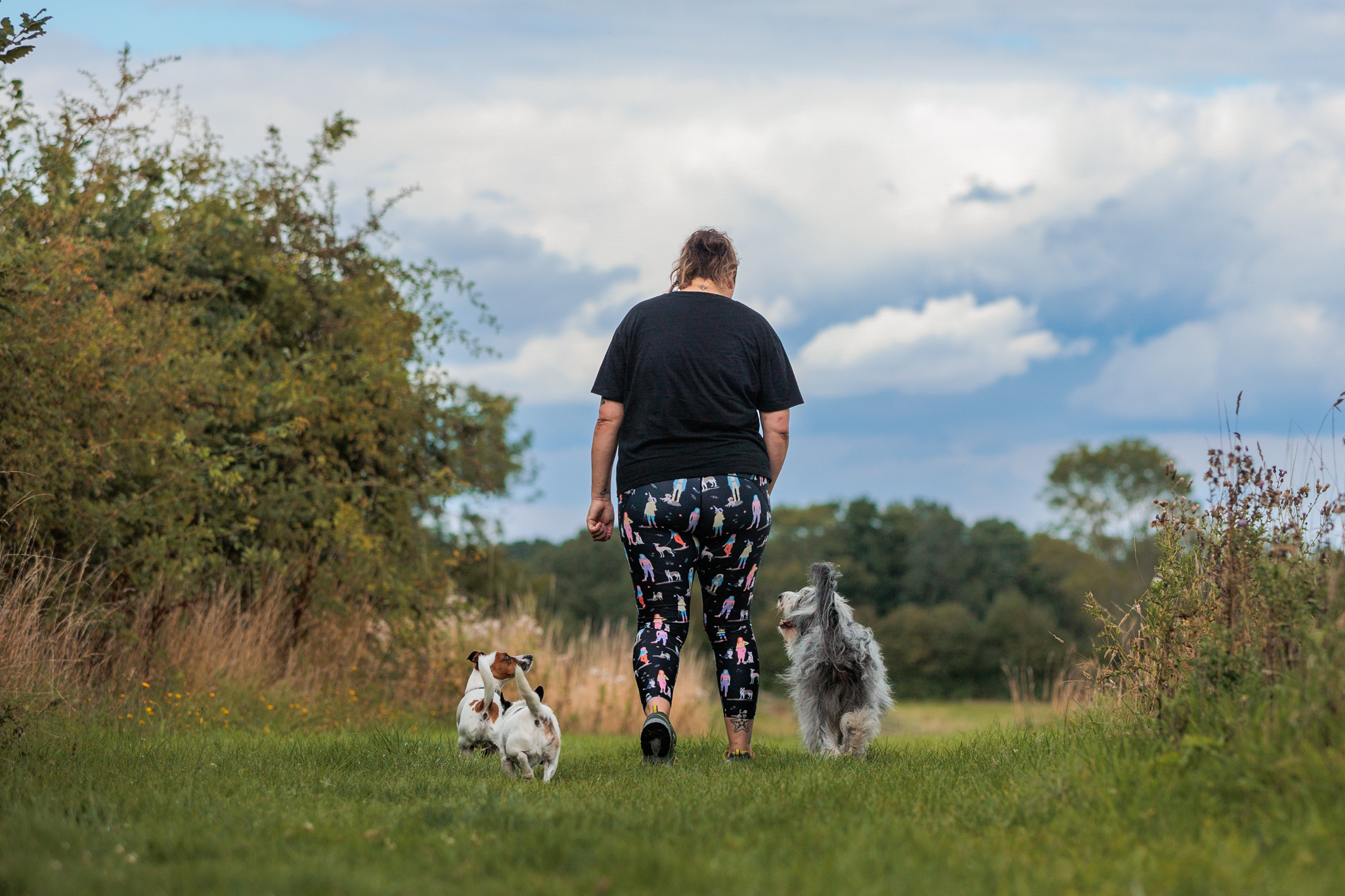 Canine Behaviour Technician  thumbnail