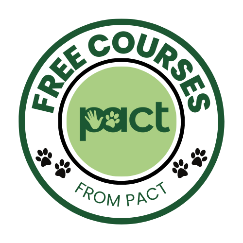 FREE Mini Courses  thumbnail