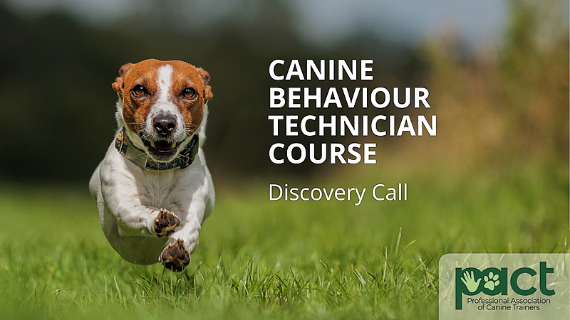 Discovery Call - Canine Behaviour Technician Course thumbnail