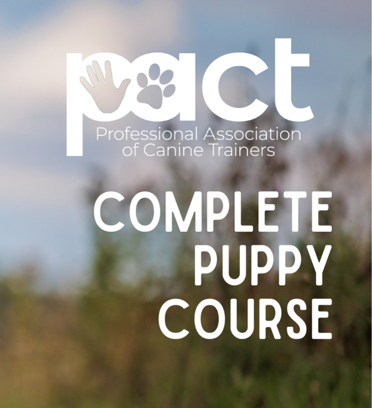 Complete Puppy Course thumbnail