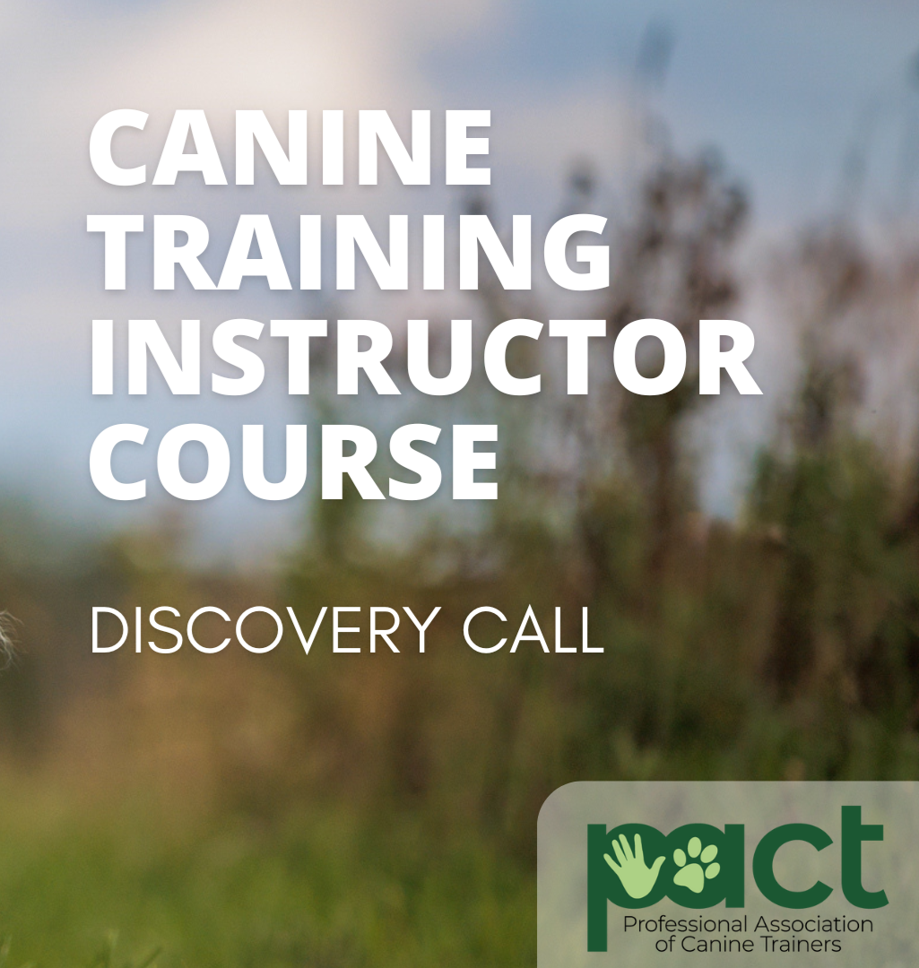 Discovery Call - Canine Training Instructors Course thumbnail