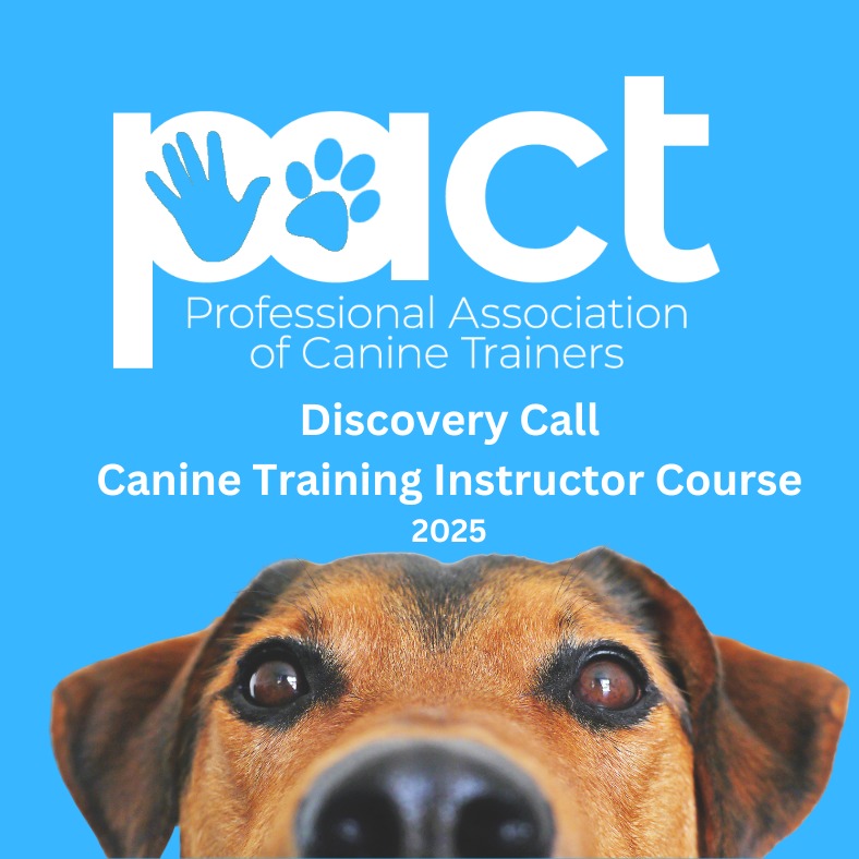 Discovery Call - Canine Training Instructors Course thumbnail