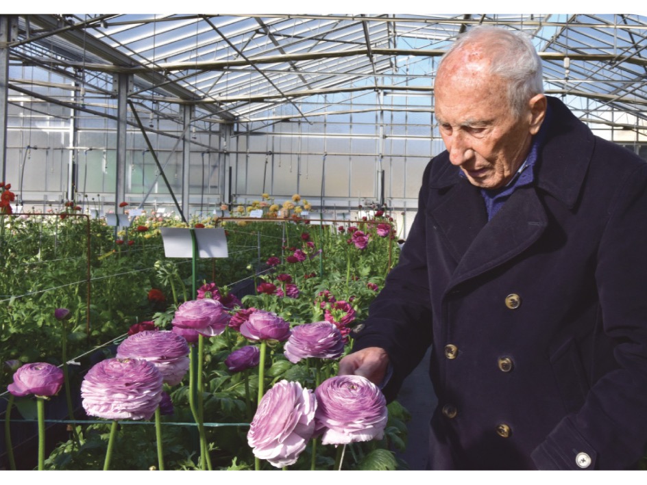 Biancheri Creazioni thumbnail