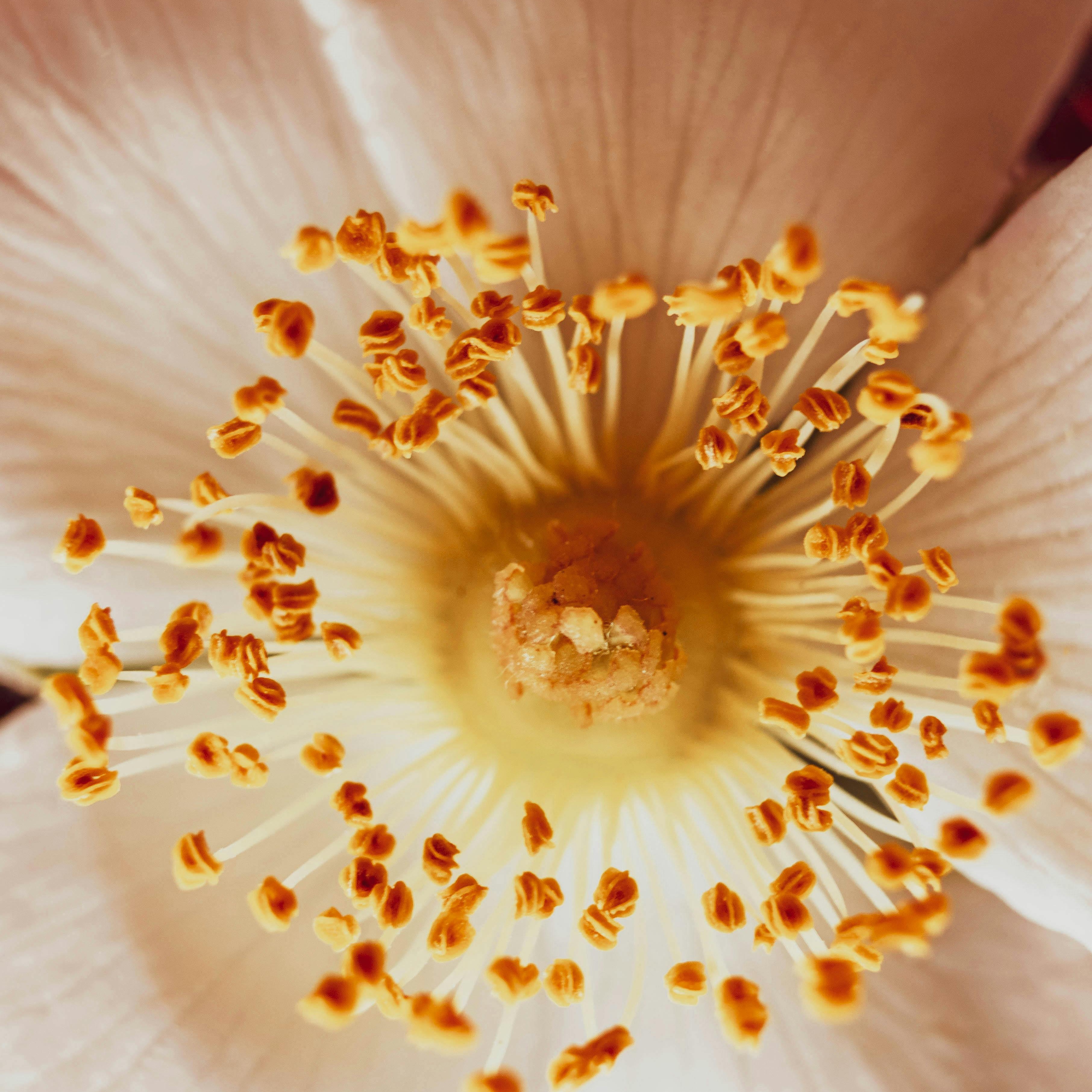 Les consultations — au natal et en prévisionnel, la liste pour recevoir les informations et réserver une séance thumbnail